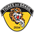 Tigres do Brasil
